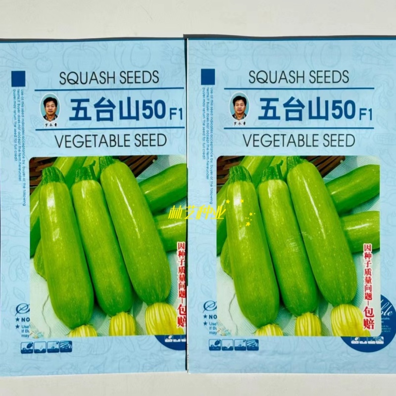 五台山50西葫芦种子高产四季易种家庭阳台盆栽蔬菜籽