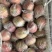 膜袋小富士苹果大量供应中对接市场档口量大从优欢迎来电