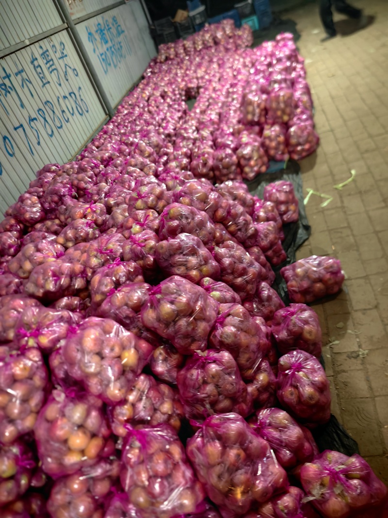 膜袋小富士苹果大量供应中对接市场档口量大从优欢迎来电