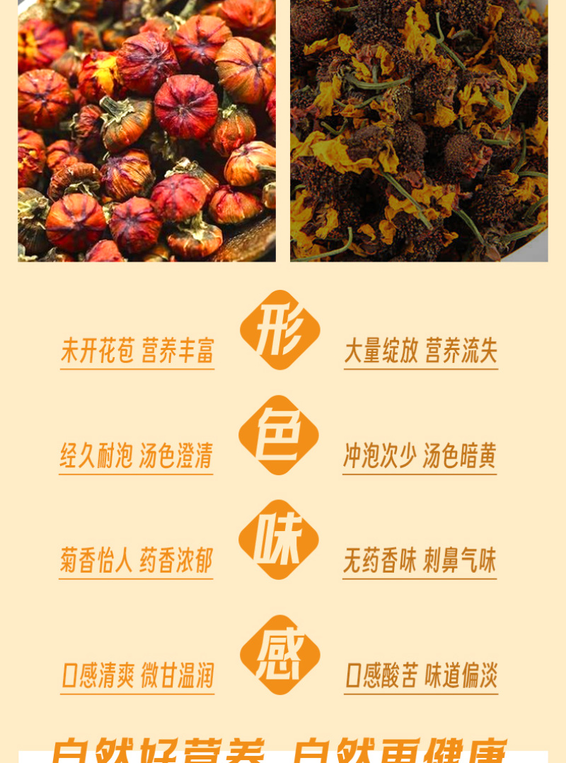 昆仑胎菊生长于昆仑高海拔区域人工采摘味道清香