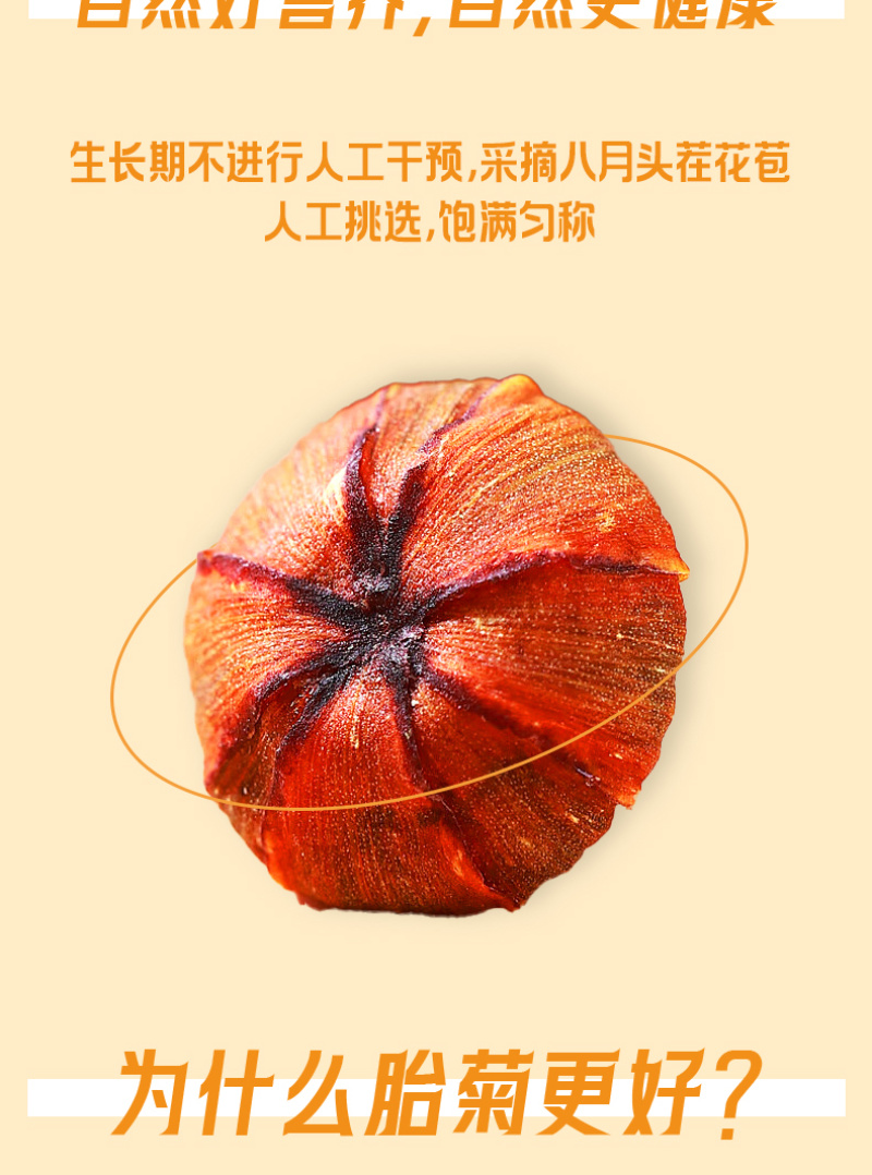 昆仑胎菊生长于昆仑高海拔区域人工采摘味道清香