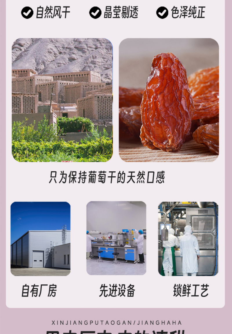 新疆特级玫瑰香葡萄干个大饱满肉质厚实香甜回味