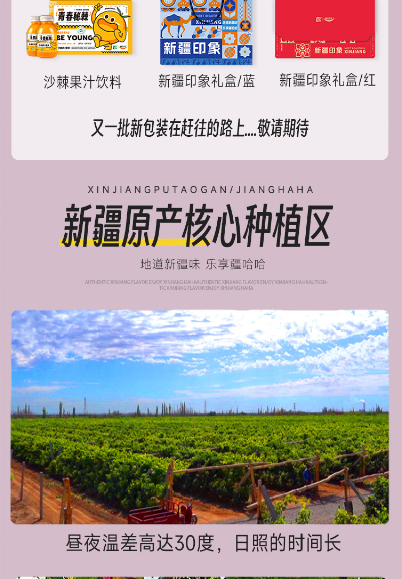 新疆特级玫瑰香葡萄干个大饱满肉质厚实香甜回味