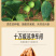 新疆纸皮核桃富含不饱和脂肪酸营养价值高精选一级果