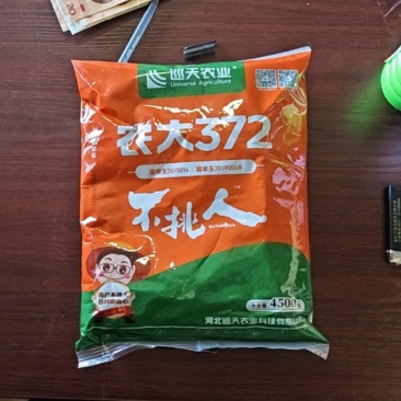 农大372玉米种子：抗性好棒子大高产不空棵