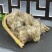 中药材精选小蓟花1公斤小蓟花干新鲜干货另有小蓟大蓟