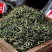 蒲公英茶1公斤原味天然正宗婆婆丁干花长白山特产蒲公英泡水喝