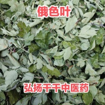 俄色叶1公斤中药材鹅色叶***纯干产品当季新货