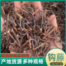 钩藤保庆药业批发中药钩藤实物拍摄钩滕发