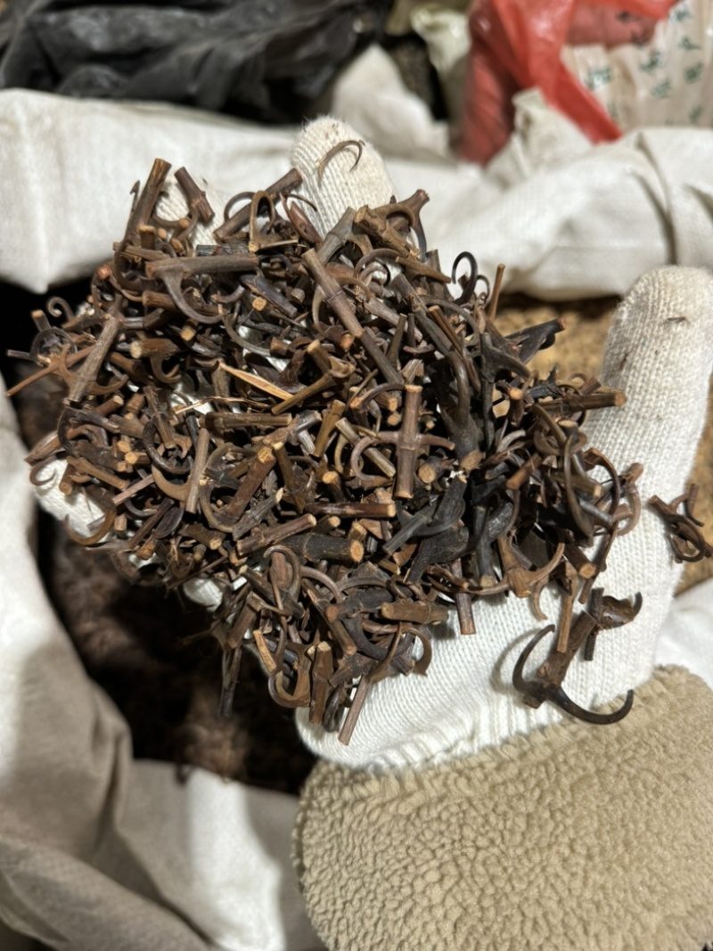 钩藤保庆药业批发中药钩藤实物拍摄钩滕发