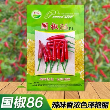 国椒86小米辣种子辣味香浓单生早熟干鲜两用朝天生长