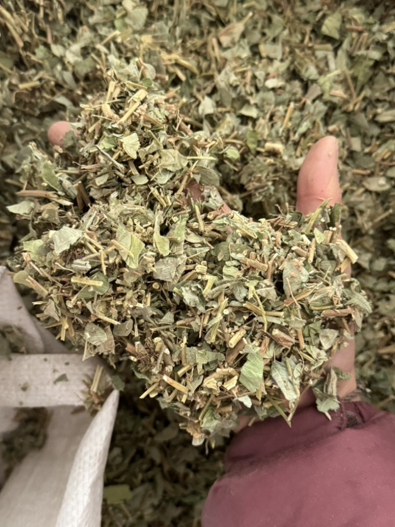 金钱草小叶金钱草大叶金钱草保庆药业批发金钱草