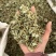 金钱草小叶金钱草大叶金钱草保庆药业批发金钱草