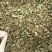 金钱草小叶金钱草大叶金钱草保庆药业批发金钱草