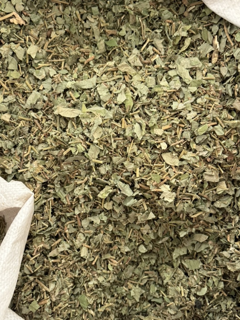 金钱草小叶金钱草大叶金钱草保庆药业批发金钱草