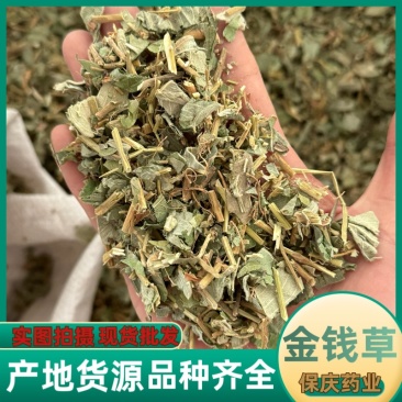 金钱草小叶金钱草大叶金钱草保庆药业批发金钱草