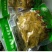 【腌制笋】那良芋蒙酸芋苗去皮芋苗广西特色小吃非遗传承美食