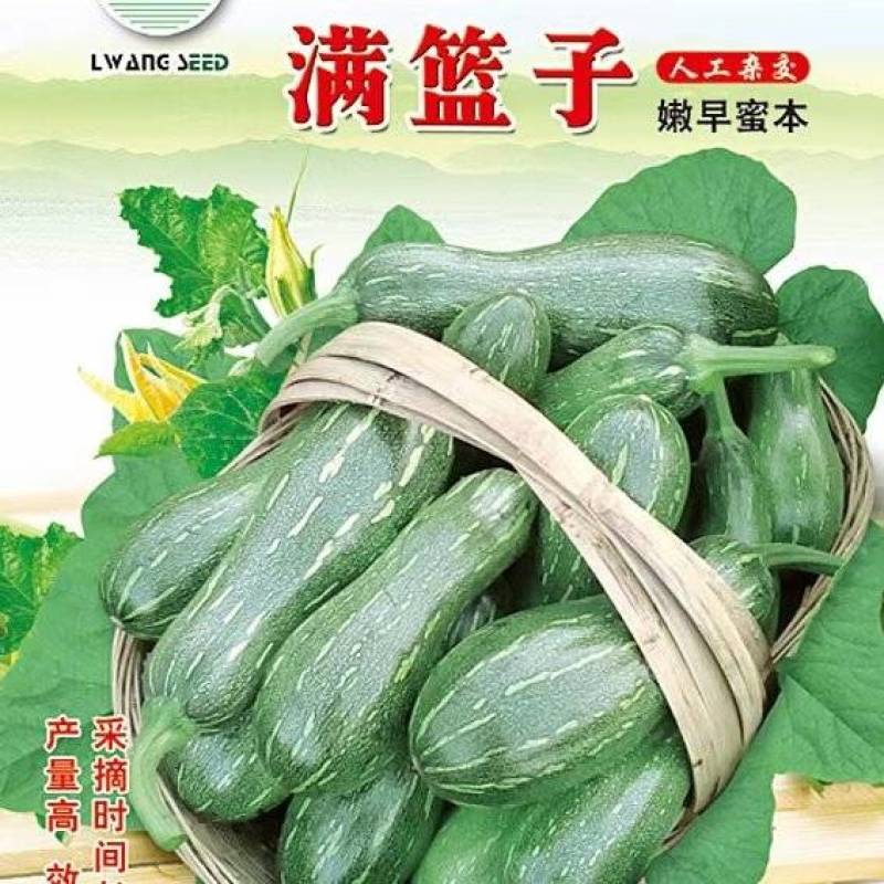 南瓜种子满篮子密本南瓜收嫩南瓜老南瓜均宜品质好高产