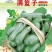 南瓜种子满篮子密本南瓜收嫩南瓜老南瓜均宜品质好高产