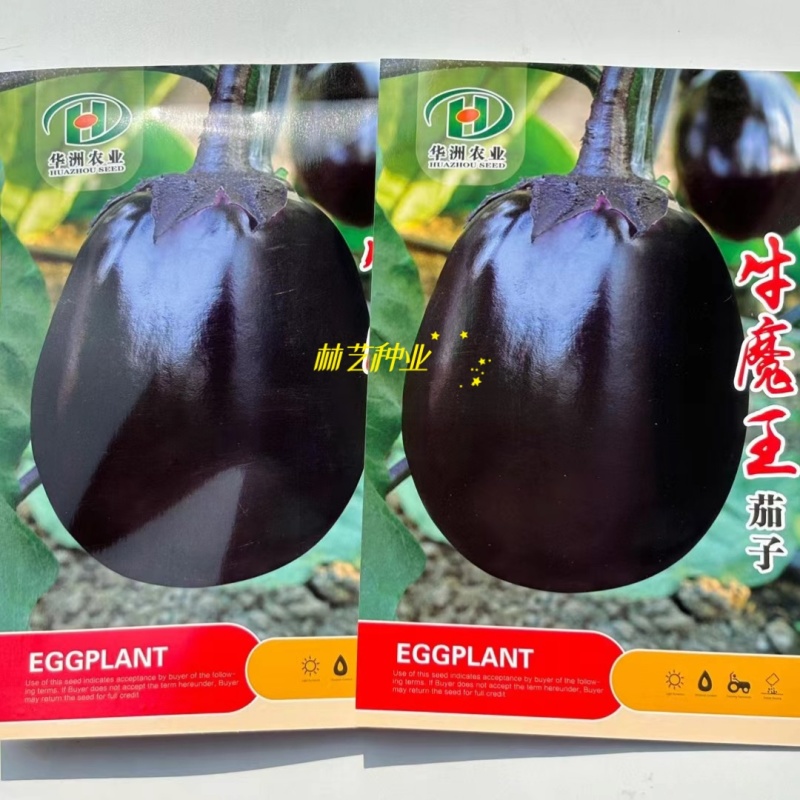 牛魔王茄子种子早中熟卵圆茄种籽白肉抗病特大紫黑罐茄子