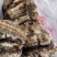 苦白蹄（阿里红）