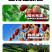 无核枣独立小包装去皮去核枣不卡嗓达18%湿度