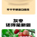 无核枣独立小包装去皮去核枣不卡嗓达18%湿度