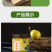 梨膏库尔勒香梨原材三十倍浓缩古法熬制零任何添加剂