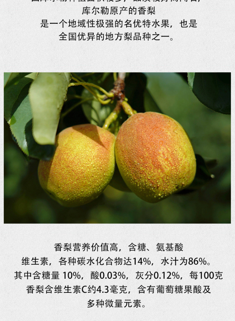 梨膏库尔勒香梨原材三十倍浓缩古法熬制零任何添加剂