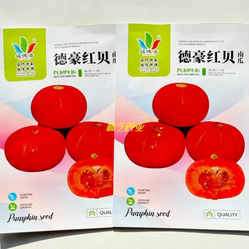 德豪红贝南瓜种子红蜜板栗贝贝瓜种籽春秋红皮南瓜种子蔬菜