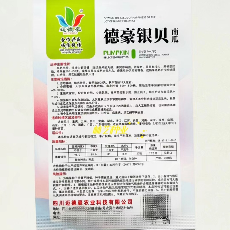 德豪银贝南瓜种子板栗南瓜粉糯甘甜白皮贝贝南瓜蔬菜种子