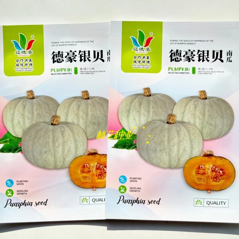 德豪银贝南瓜种子板栗南瓜粉糯甘甜白皮贝贝南瓜蔬菜种子
