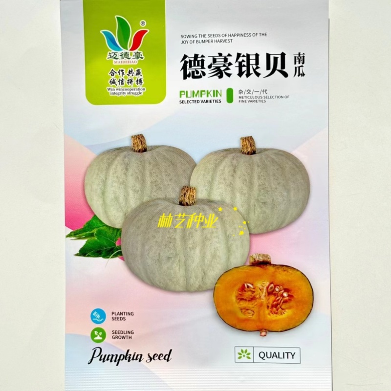 德豪银贝南瓜种子板栗南瓜粉糯甘甜白皮贝贝南瓜蔬菜种子