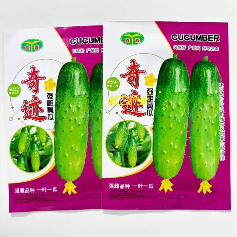 奇迹水果黄瓜种子强雌杂交水果黄瓜节节有瓜口感清香黄瓜