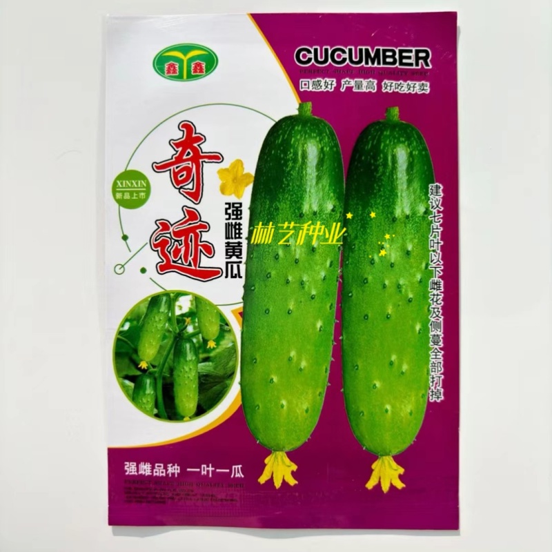 奇迹水果黄瓜种子强雌杂交水果黄瓜节节有瓜口感清香黄瓜