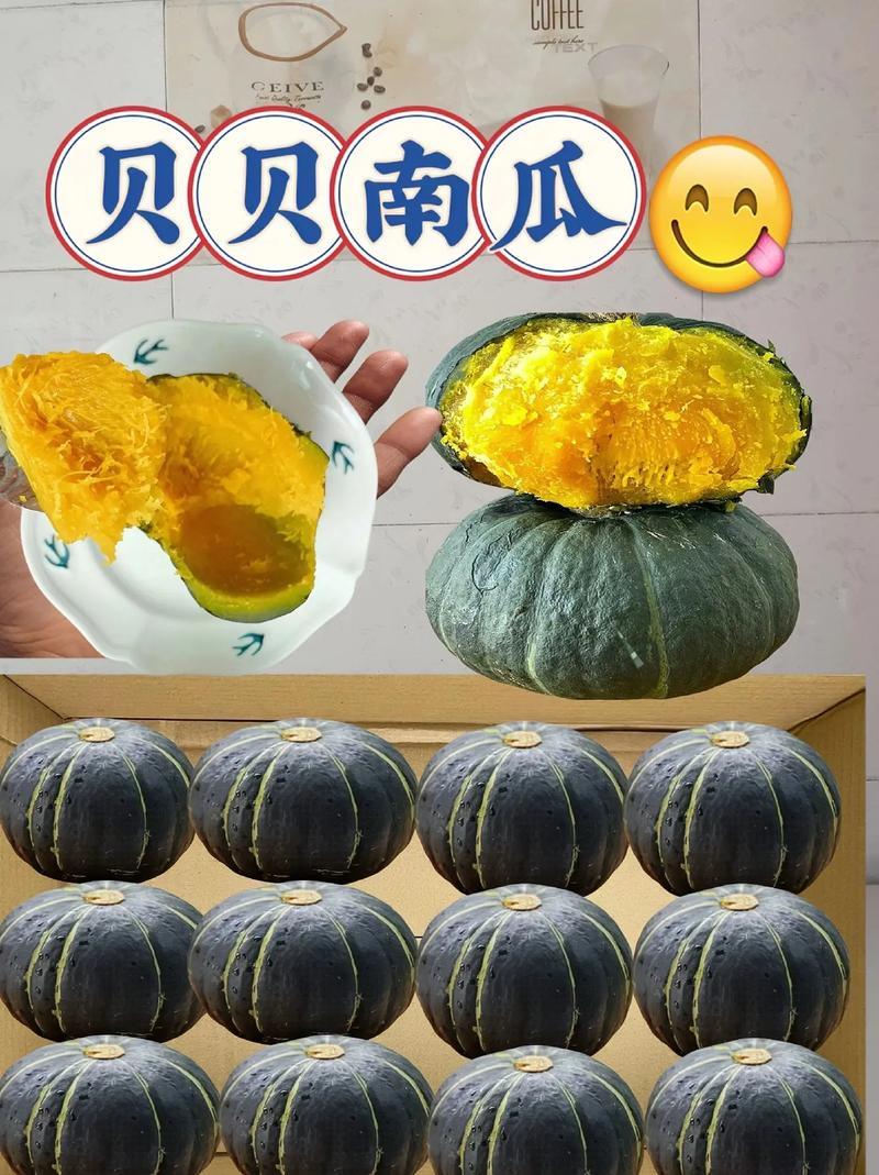 贝贝南瓜板栗味贝贝板栗小南瓜4.5斤老南瓜婴儿辅食