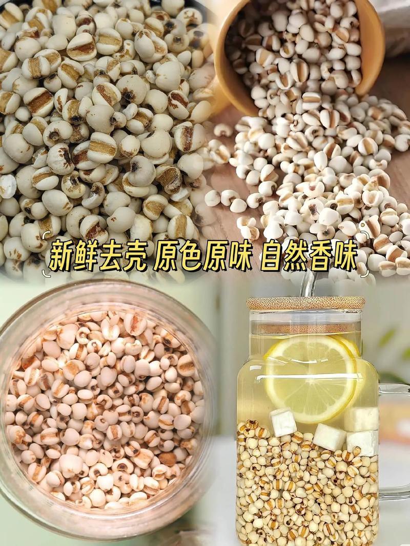 薏米500克贵州新货薏仁薏米仁精选正品茶香阁旗舰店ht