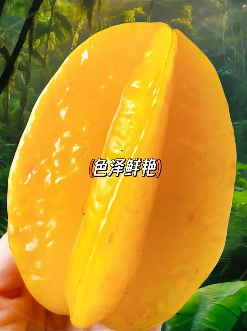 漳州杨桃肉厚多汁新鲜采摘水果清甜爽口