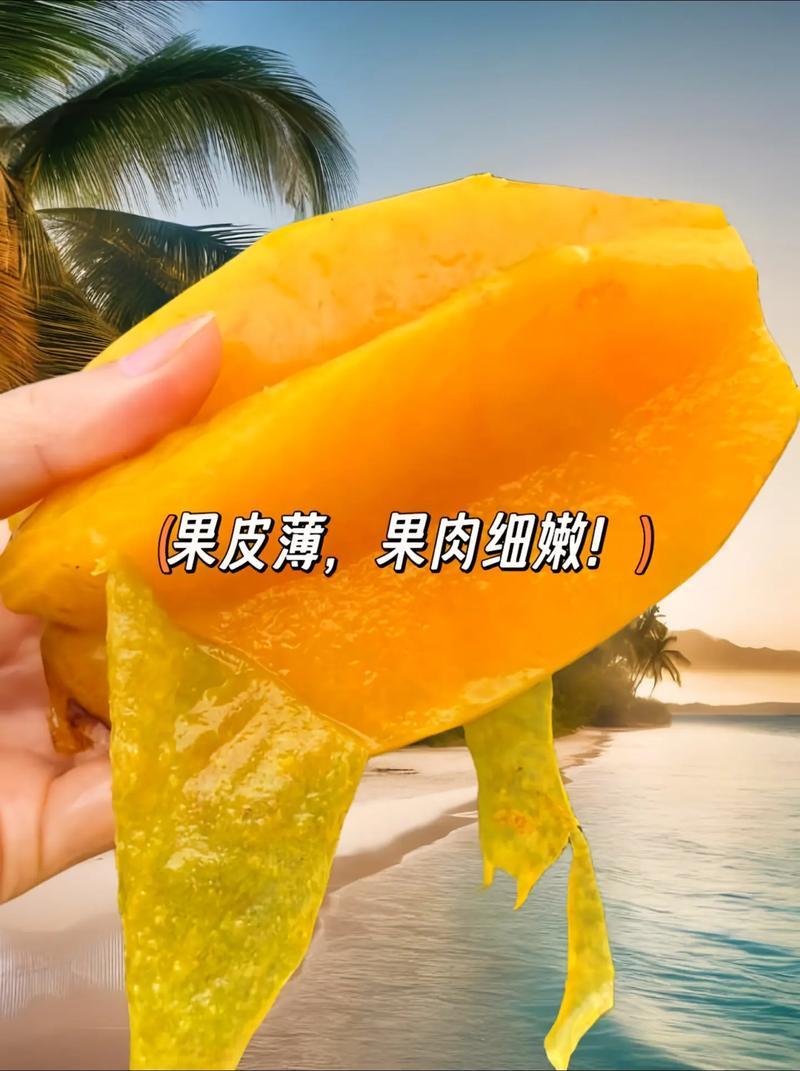 漳州杨桃肉厚多汁新鲜采摘水果清甜爽口