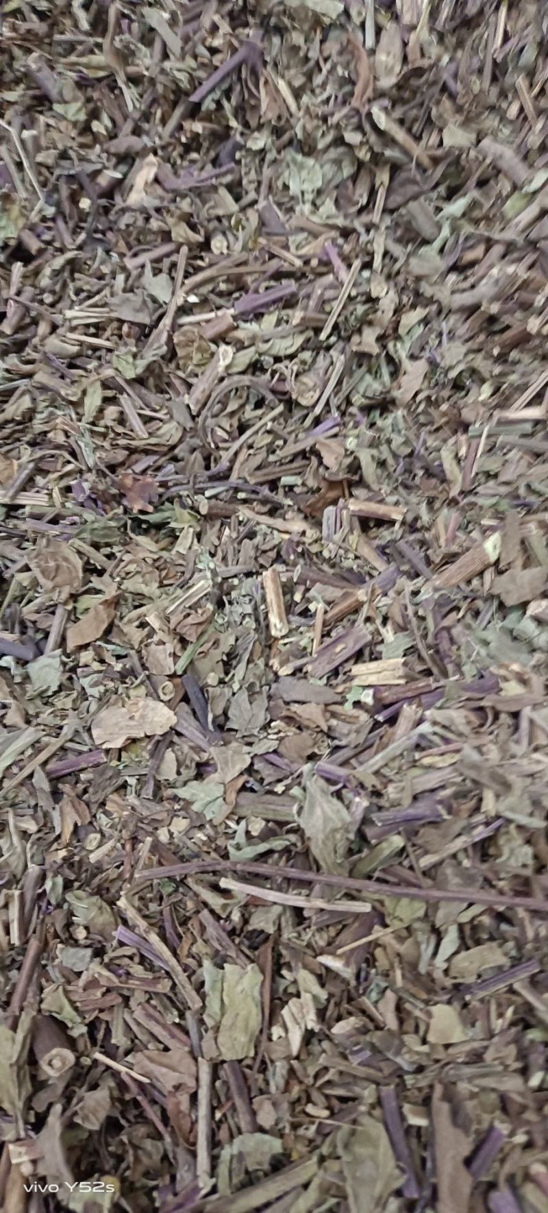 猫须草贤茶各种中草药可以代抓配方实体加平台优势很明显