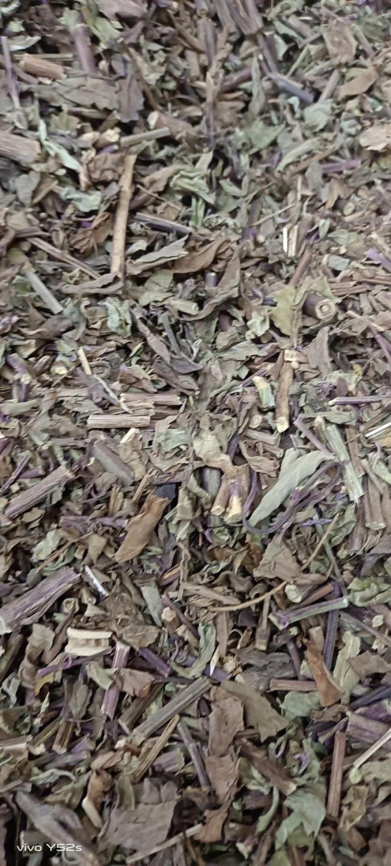 猫须草贤茶各种中草药可以代抓配方实体加平台优势很明显