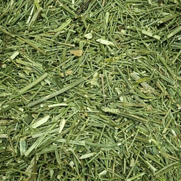 穿心莲各种中药材，名贵药材，冷背药材，带抓配方，压片打粉
