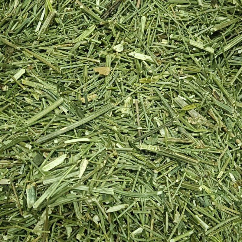 穿心莲各种中药材，名贵药材，冷背药材，带抓配方，压片打粉