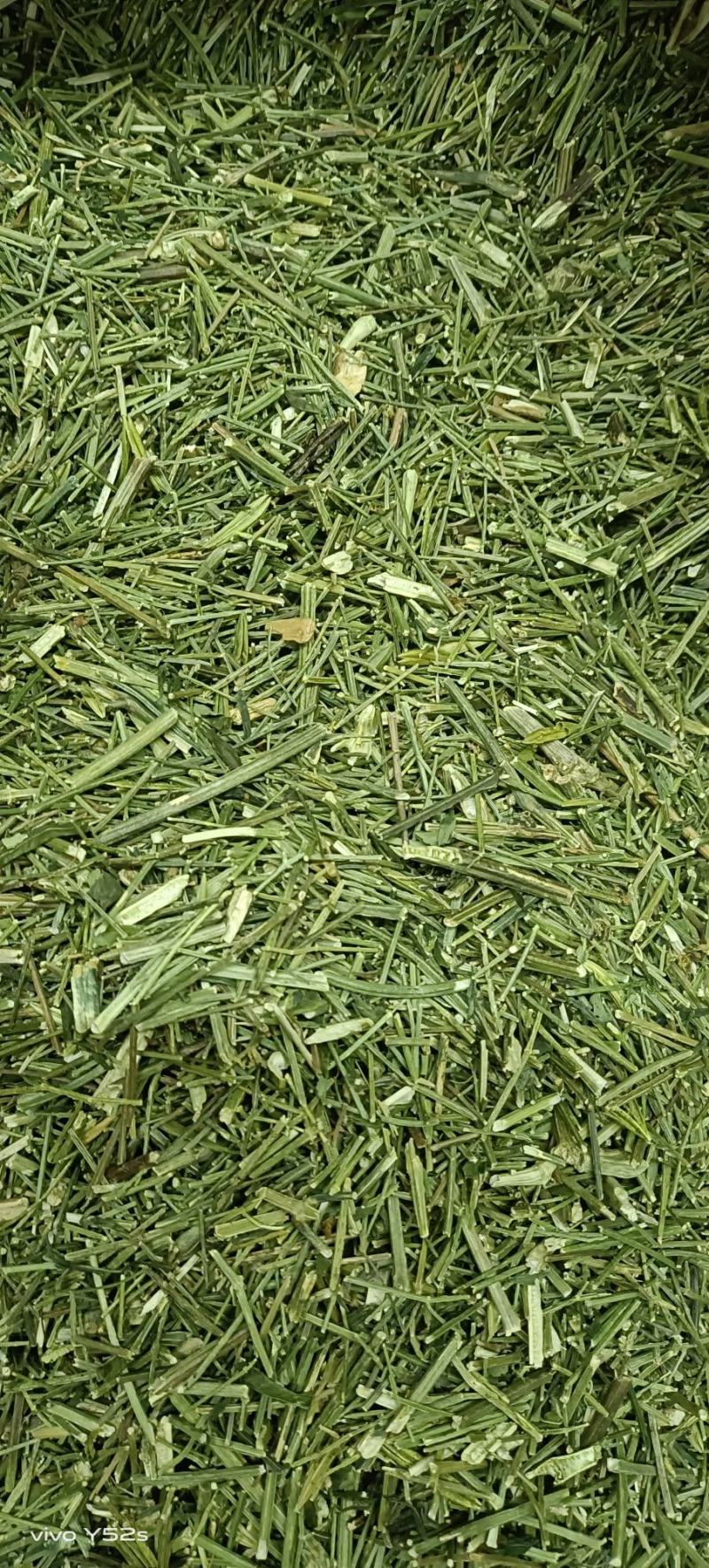 穿心莲各种中药材，名贵药材，冷背药材，带抓配方，压片打粉