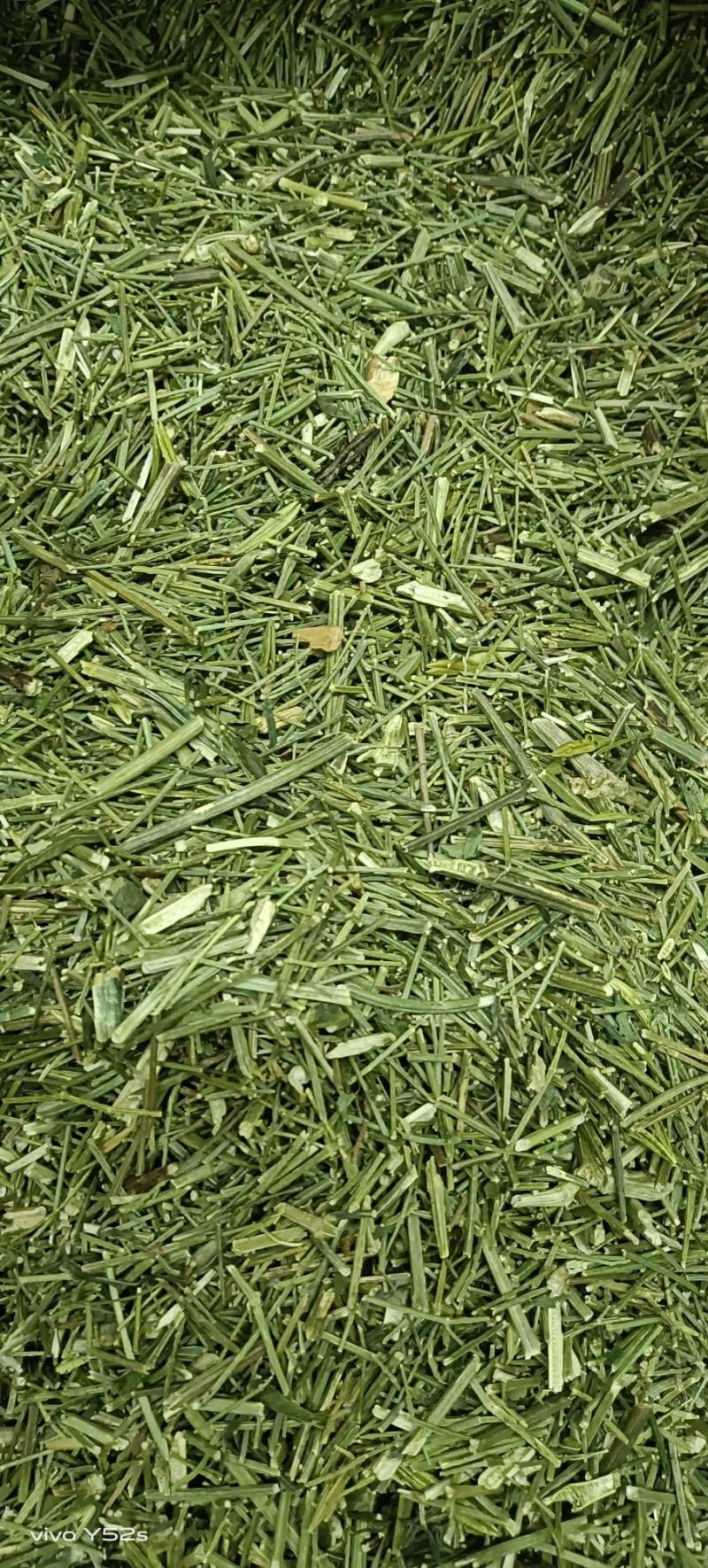 穿心莲各种中药材，名贵药材，冷背药材，带抓配方，压片打粉