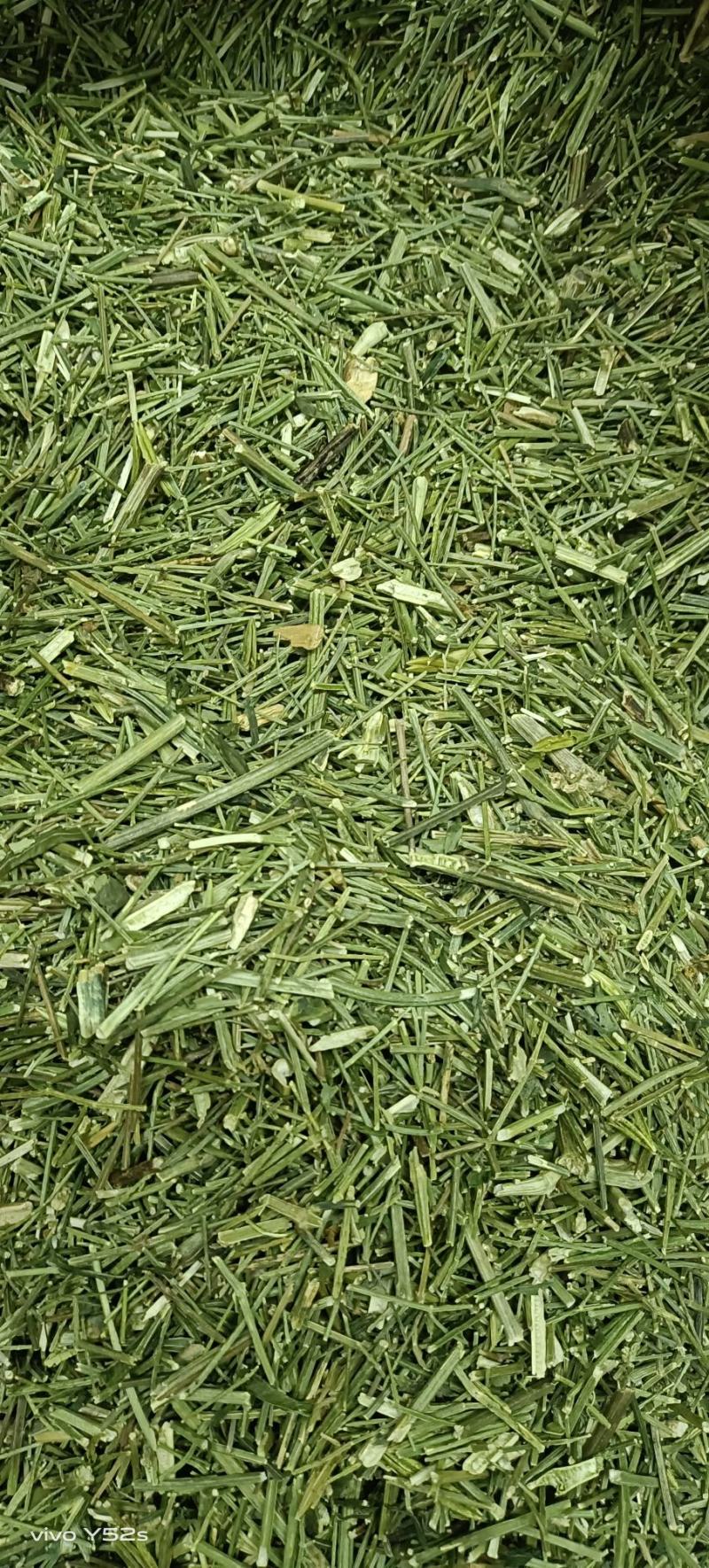 穿心莲各种中药材，名贵药材，冷背药材，带抓配方，压片打粉