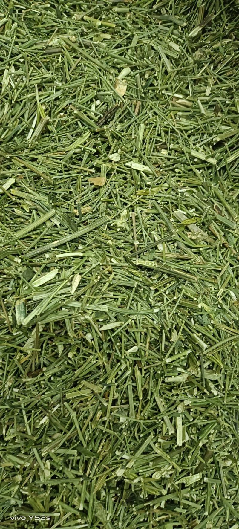 穿心莲各种中药材，名贵药材，冷背药材，带抓配方，压片打粉