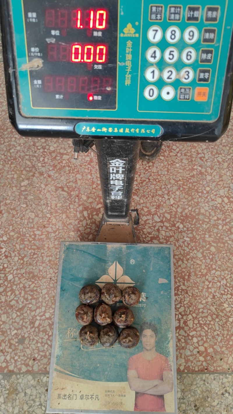 广西荔浦新鲜优质马蹄茡荠