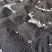 麦冬种子
