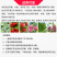 国光速朋液体硼高含量微量元素水溶肥蔬菜瓜果油菜流体硼
